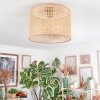 Barcos Plafondlamp Bruin, Natuurlijke kleuren, 1-licht