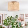 Barcos Plafondlamp Bruin, Natuurlijke kleuren, 1-licht