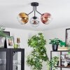 Koyoto Plafondlamp, Kogellampje 42 cm Goud, Duidelijk, Koperkleurig, Rookkleurig, 3-lichts