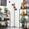Ripoll Staande lamp Koperkleurig, 3-lichts