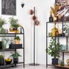 Ripoll Staande lamp Duidelijk, Koperkleurig, 3-lichts