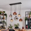 Gastor Hanglamp, Kogellampje, Hanglamp Amber, Chroom, Duidelijk, Koperkleurig, Rookkleurig, 6-lichts