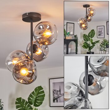 Ripoll Plafondlamp, Kogellampje Duidelijk, Rookkleurig, 4-lichts