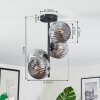 Ripoll Plafondlamp, Kogellampje Rookkleurig, 4-lichts