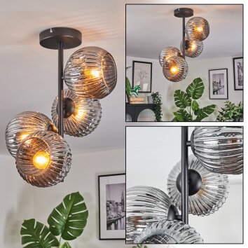 Ripoll Plafondlamp, Kogellampje Rookkleurig, 4-lichts