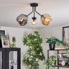 Ripoll Plafondlamp, Kogellampje Amber, Duidelijk, Rookkleurig, 3-lichts