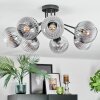Koyoto Plafondlamp, Kogellampje 82 cm Duidelijk, Rookkleurig, 7-lichts