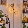 Ripoll Staande lamp Amber, Duidelijk, Rookkleurig, 3-lichts