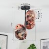 Ripoll Plafondlamp, Kogellampje Duidelijk, Koperkleurig, 4-lichts