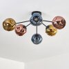 Ripoll Plafondlamp, Kogellampje Blauw, Goud, Koperkleurig, 6-lichts