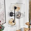 Ripoll Kogellampje, Wandlamp Amber, Duidelijk, Rookkleurig, 3-lichts