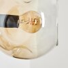 Ripoll Kogellampje, Wandlamp Amber, Duidelijk, Rookkleurig, 3-lichts