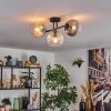 Gastor Plafondlamp, Kogellampje Amber, Duidelijk, Rookkleurig, 3-lichts