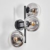 Gastor Kogellampje, Wandlamp Duidelijk, Rookkleurig, 3-lichts