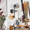 Gastor Kogellampje, Wandlamp Amber, Duidelijk, Rookkleurig, 3-lichts