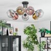 Ripoll Plafondlamp, Kogellampje Goud, Duidelijk, Koperkleurig, Rookkleurig, 7-lichts