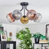 Ripoll Plafondlamp, Kogellampje Goud, Duidelijk, Koperkleurig, Rookkleurig, 5-lichts