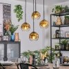 Ripoll Hanglamp, Kogellampje, Cluster hanglamp Goud, Duidelijk, 4-lichts