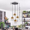 Ripoll Hanglamp, Kogellampje, Cluster hanglamp Goud, Duidelijk, 4-lichts