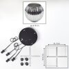 Ripoll Hanglamp, Kogellampje, Cluster hanglamp Chroom, Rookkleurig, 4-lichts