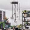 Ripoll Hanglamp, Kogellampje, Cluster hanglamp Chroom, Duidelijk, Rookkleurig, 4-lichts