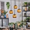 Ripoll Hanglamp, Kogellampje, Cluster hanglamp Goud, 4-lichts