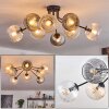Koyoto Plafondlamp, Kogellampje Amber, Duidelijk, Rookkleurig, 8-lichts