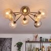 Koyoto Plafondlamp, Kogellampje Amber, Duidelijk, Rookkleurig, 8-lichts