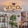 Koyoto Plafondlamp, Kogellampje Amber, Duidelijk, Rookkleurig, 8-lichts