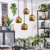 Ripoll Hanglamp, Kogellampje, Cluster hanglamp Goud, 4-lichts