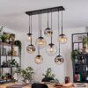 Gastor Hanglamp, Kogellampje, Hanglamp Amber, Chroom, Duidelijk, Rookkleurig, 8-lichts