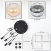 Koyoto Hanglamp, Kogellampje, Cluster hanglamp Amber, Duidelijk, Rookkleurig, 4-lichts