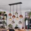 Gastor Hanglamp, Kogellampje, Hanglamp Amber, Chroom, Duidelijk, Koperkleurig, Rookkleurig, 8-lichts