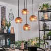 Ripoll Hanglamp, Kogellampje, Cluster hanglamp Duidelijk, Koperkleurig, 4-lichts
