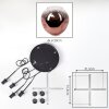 Ripoll Hanglamp, Kogellampje, Cluster hanglamp Duidelijk, Koperkleurig, 4-lichts