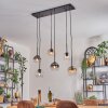 Koyoto Hanglamp, Kogellampje, Hanglamp Amber, Duidelijk, Rookkleurig, 6-lichts