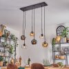 Ripoll Hanglamp, Kogellampje, Hanglamp Amber, Duidelijk, Rookkleurig, 6-lichts
