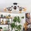 Koyoto Plafondlamp, Kogellampje 81 cm Amber, Chroom, Duidelijk, Rookkleurig, 10-lichts
