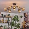 Koyoto Plafondlamp, Kogellampje 81 cm Amber, Chroom, Duidelijk, Rookkleurig, 10-lichts