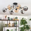 Ripoll Plafondlamp, Kogellampje Amber, Duidelijk, Rookkleurig, 10-lichts