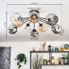 Ripoll Plafondlamp, Kogellampje Amber, Duidelijk, Rookkleurig, 10-lichts