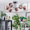 Koyoto Plafondlamp, Kogellampje 78 cm Duidelijk, Koperkleurig, 6-lichts