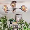 Koyoto Plafondlamp, Kogellampje 78 cm Duidelijk, Rookkleurig, 6-lichts