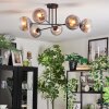 Koyoto Plafondlamp, Kogellampje 78 cm Duidelijk, Rookkleurig, 6-lichts