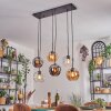 Ripoll Hanglamp, Kogellampje, Hanglamp Amber, Duidelijk, Rookkleurig, 6-lichts