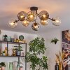 Ripoll Plafondlamp, Kogellampje Amber, Duidelijk, Rookkleurig, 8-lichts