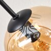 Ripoll Plafondlamp, Kogellampje Amber, Duidelijk, Rookkleurig, 8-lichts