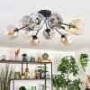 Ripoll Plafondlamp, Kogellampje Amber, Duidelijk, Rookkleurig, 10-lichts