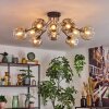 Ripoll Plafondlamp, Kogellampje Amber, Duidelijk, Rookkleurig, 10-lichts