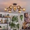 Ripoll Plafondlamp, Kogellampje Amber, Rookkleurig, 10-lichts